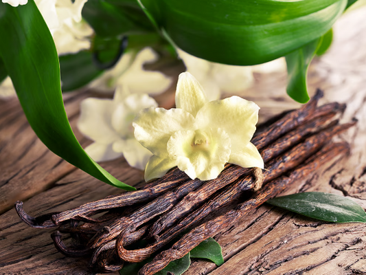 Sandalwood Vanilla Body Butter