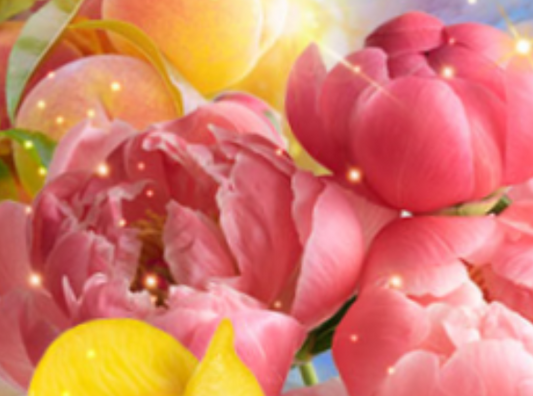 A Thousand Dreams Body Oil