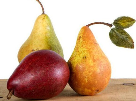 Crisp Anjou Pear Body Butter