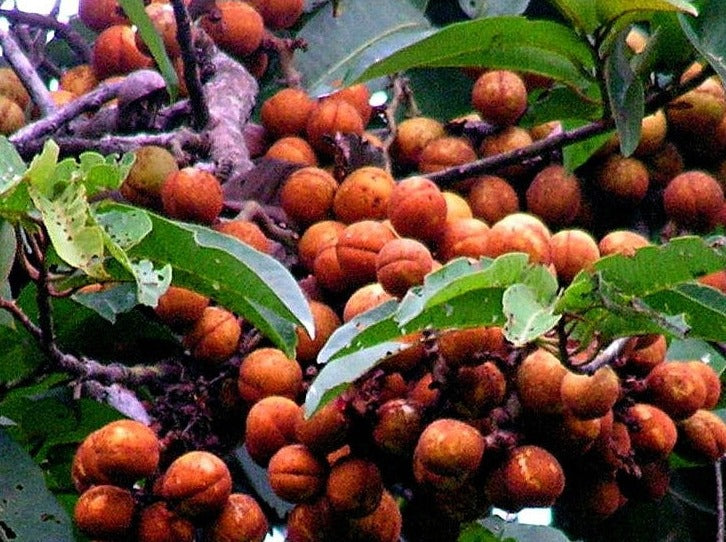 Deep Relief Whipped Body Butter