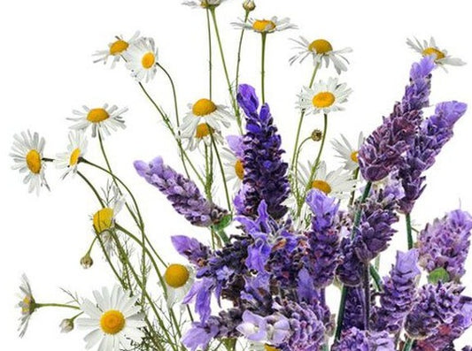 Lavender & Chamomile Body Butter