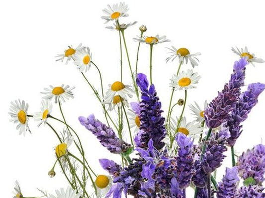 Lavender & Chamomile Sugar Scrub