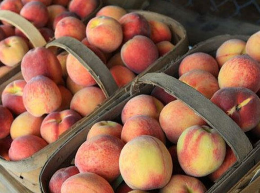 Southern Peach Body Oil