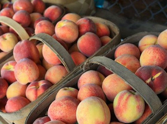 Southern Peach Body Butter