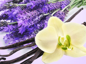 Lavender Vanilla Body Butter